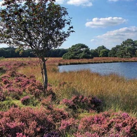 Drentse Bungalow In Natuur En Rust Spier Bagian luar foto