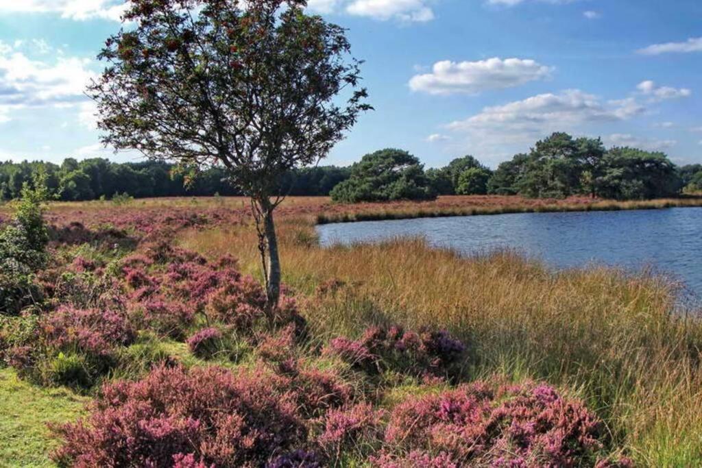 Drentse Bungalow In Natuur En Rust Spier Bagian luar foto