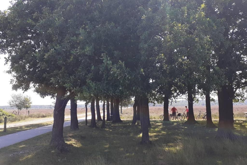 Drentse Bungalow In Natuur En Rust Spier Bagian luar foto