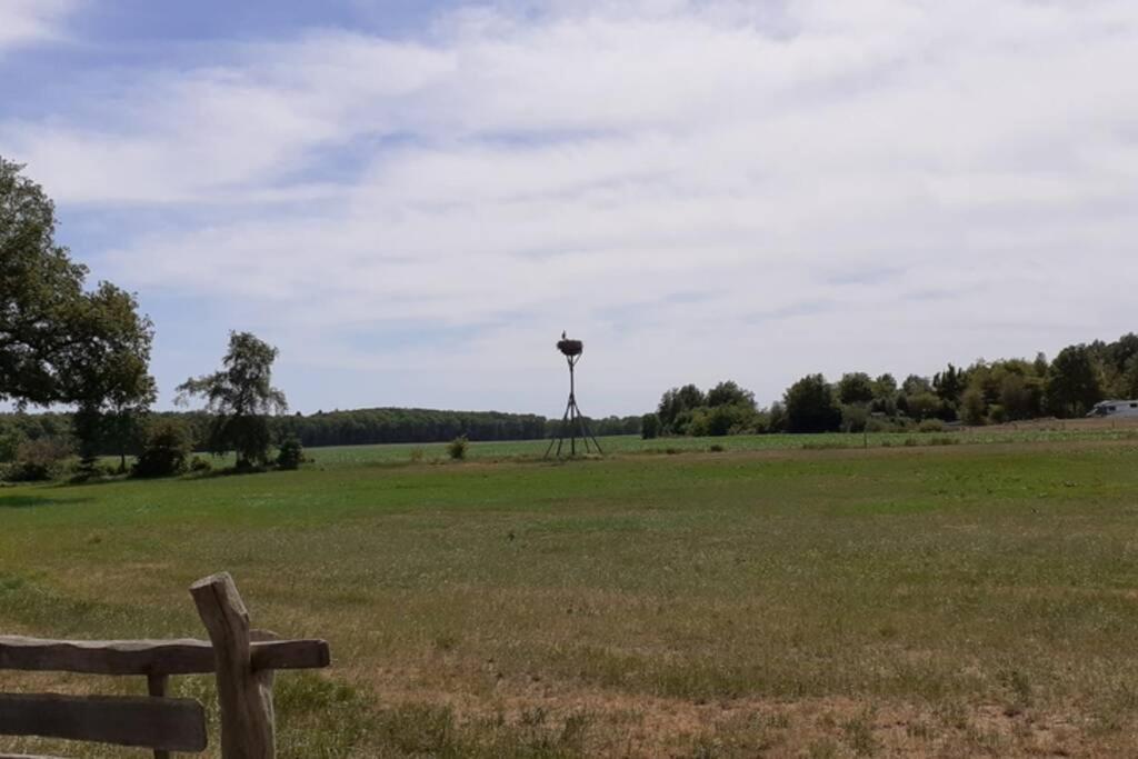 Drentse Bungalow In Natuur En Rust Spier Bagian luar foto