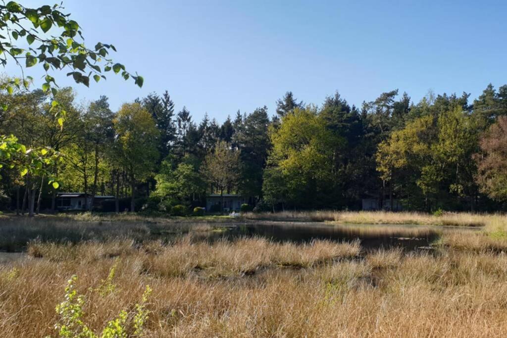 Drentse Bungalow In Natuur En Rust Spier Bagian luar foto