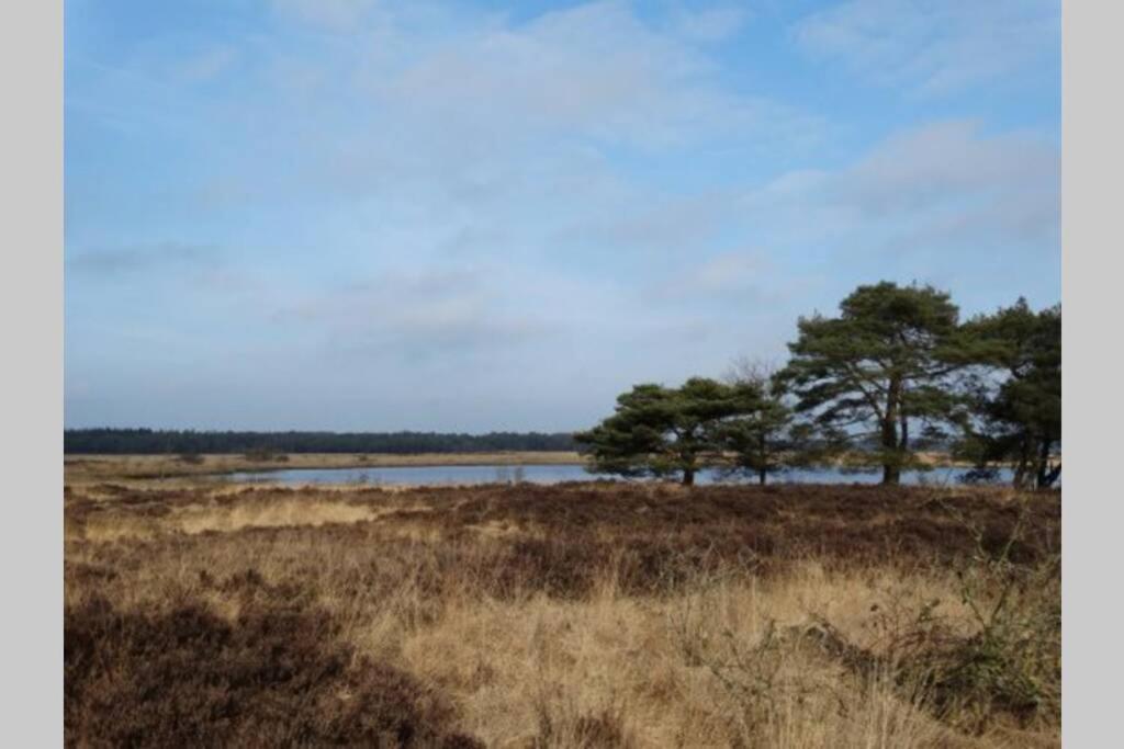 Drentse Bungalow In Natuur En Rust Spier Bagian luar foto