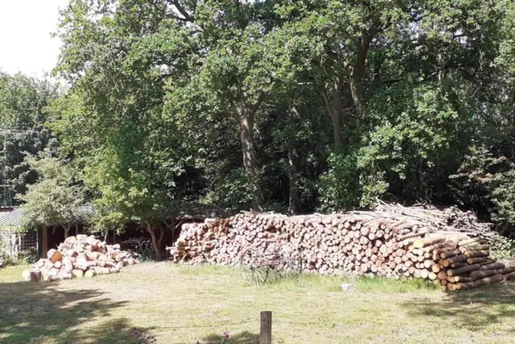 Drentse Bungalow In Natuur En Rust Spier Bagian luar foto