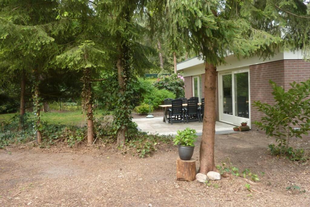 Drentse Bungalow In Natuur En Rust Spier Bagian luar foto