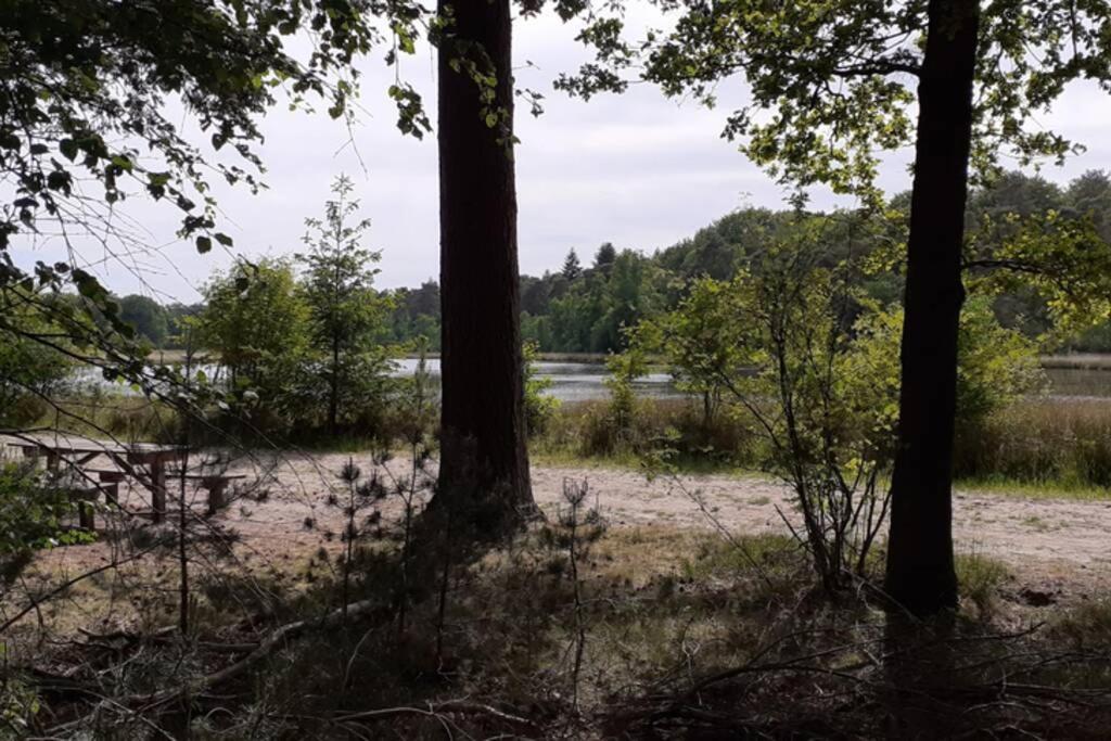 Drentse Bungalow In Natuur En Rust Spier Bagian luar foto