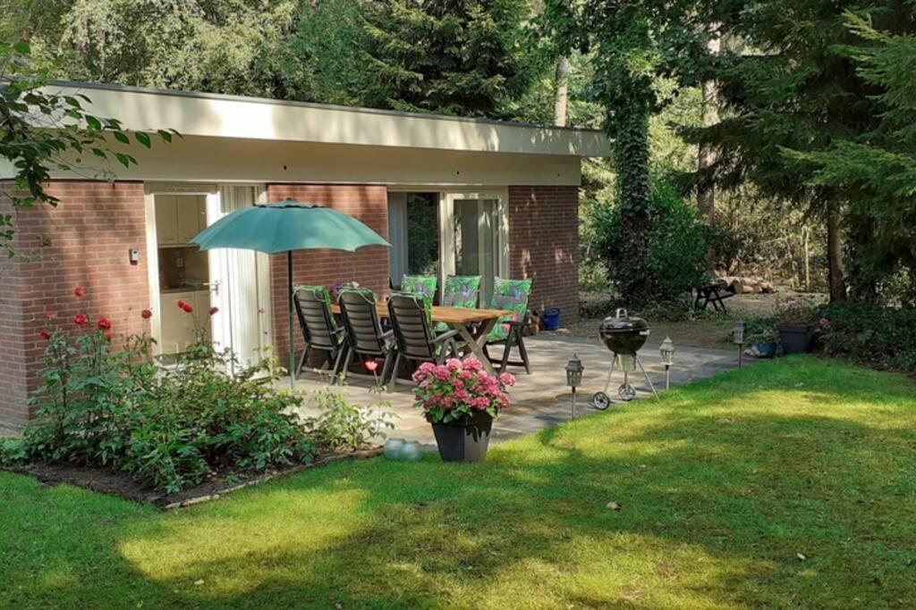 Drentse Bungalow In Natuur En Rust Spier Bagian luar foto