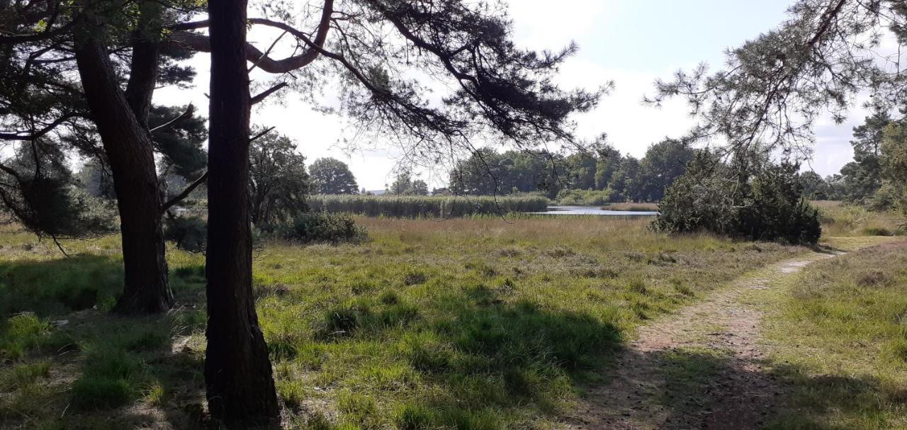 Drentse Bungalow In Natuur En Rust Spier Bagian luar foto