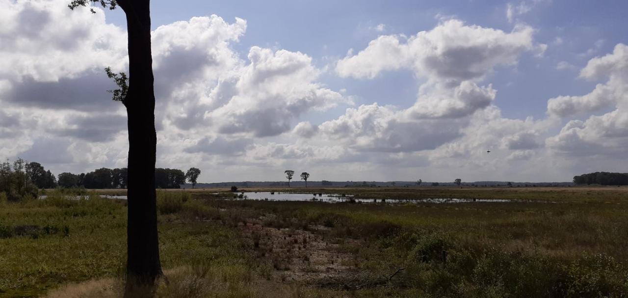 Drentse Bungalow In Natuur En Rust Spier Bagian luar foto