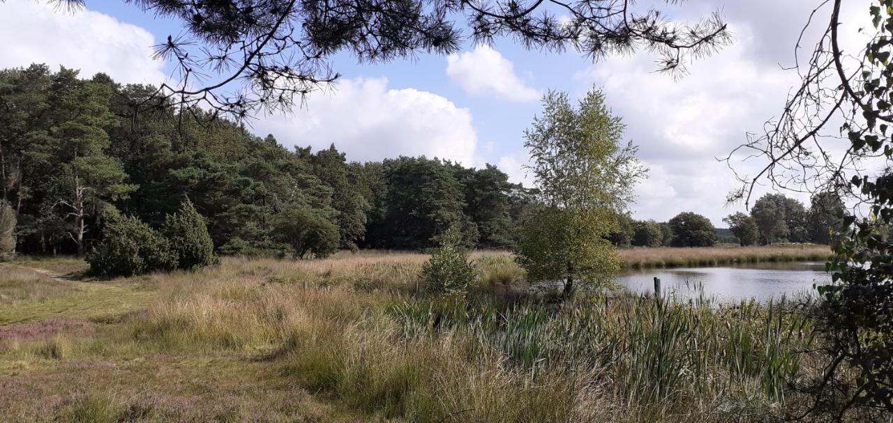 Drentse Bungalow In Natuur En Rust Spier Bagian luar foto