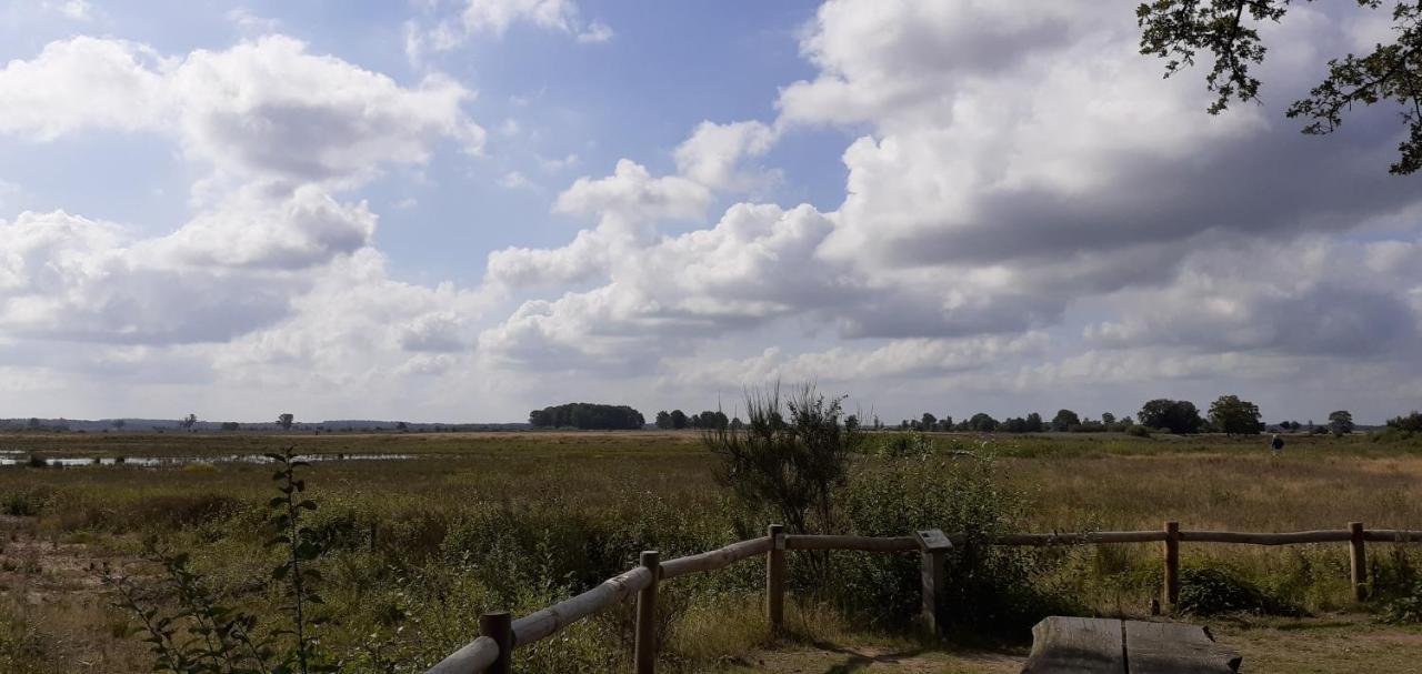 Drentse Bungalow In Natuur En Rust Spier Bagian luar foto